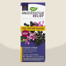 네이처스웨이 액상 블랙 엘더베리 100mg 삼부커스 120ml, 120ml 1개