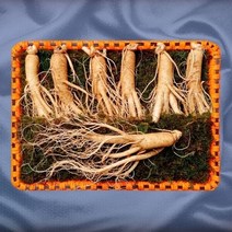 풍기인삼 6년근수삼12호 800g(4~5뿌리)