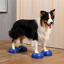 강아지 애견 펫스쿼트 밸런스볼 짐볼 디스크치료 다리 슬개골 탈구 마사지 운동 기구 Wstug 증정, 퍼플
