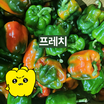 프레치 국내산 반홍피망 반불피망, 1개, 1kg