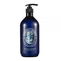앤써웨이 모링가 앤 비오틴 마일드 샴푸 그린파우더리향, 980ml, 1개