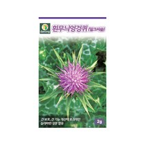 우유엉겅퀴 흰무늬엉겅퀴 씨앗 2g 밀크씨슬 2년초, 1개
