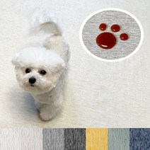 펫러그 강아지 고양이 카페트 반려동물 생활방수 논슬립 매트, 베이지