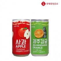 롯데 사과/제주감귤 175ml X 각15개(총30개), 본상품