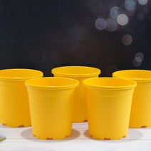 이삭 국내산 칼라화분 (노랑17호 5개1세트)- 가성비좋은 가벼운 화분, 상세페이지 참조
