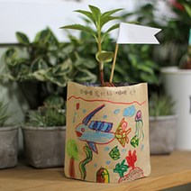 씨앗 키우기 그림 봉투 화분 재배 키트 바질 봉선화 텃밭, 방울토마토