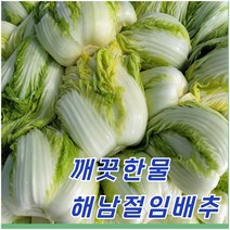 구매평 좋은 절임배추수령일 추천순위 TOP 8 소개