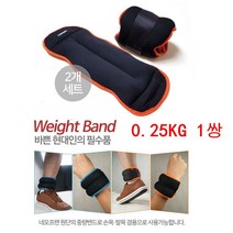 쏭쏭이 손목 발목 모래주머니 중량밴드0.25kg 2P 간단한운동 스포츠밴드 네오플랜중량밴드 운동 모래조끼 모래주머니효과 나이키보호대 간편한운동, 형광블루