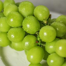 (현대Hmall) 농부마음 달콤한 망고포도 샤인머스켓 4-5수