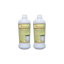 세미 후루티 골든키위 스무디 1.8kg 2개세트