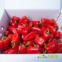 [프레시팜] 국내산 청피망 홍피망 5kg 내외, 못난이