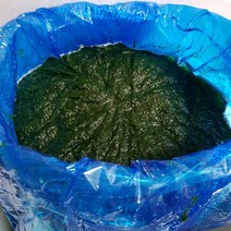 전라남도 무안 감태 생감태 물감태 찰감태, 1개, 10kg