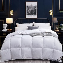 프랑스 캐나다 구스이불 호텔용이불 겨울 퀼트 퀼트 담요 95 화이트 다운 퀼트 면 커버, 200x230cm 3kg, 하얀색