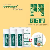 칼로리컷팅 효과빠른 녹차 카테킨 아랫배 윗배 빼는법 처진뱃살 엉밑살 다이어트 보조제 유지어터 도전 영양 밸런스 처진 늘어진 뱃살 엉덩이 밑살 똥빼빼는법 허리 엉덩이 둘레 피하지방, 60정, 4개