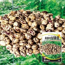 호랑이강낭콩씨 호랑이강낭콩종자 씨앗 30g 대포장 600g