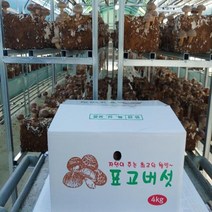 표고버섯박스 국내산표고버섯 생표고버섯 국산표고 버섯판매 문경표고 문경버섯 생표고버섯구매 산지직송 국내산생표고버섯 생표고 버섯판매 중품 4kg 당일배송, 1box