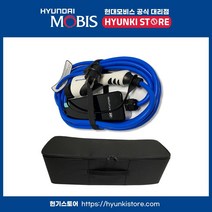 전기차 충전 케이블 3종 세트 가정용+충전소용+전용보관가방 (91675G7010)