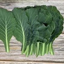 [친환경우수지정농장] 쌈용 즙용 햇 케일 주스용 케일즙 케일쌈 야채 농산물 꾸러미 당일수확, 해독쥬스용3종셋트1kg