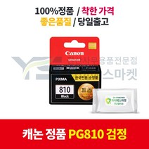 캐논 정품 PG810 검정 MP-237 245 258 276 287 486 497 MX-328 338 416 426 ip-2770 2772