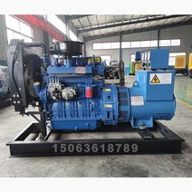 50KW100 동체 발전기, T03-30 킬로와트 브러쉬리스, 1개