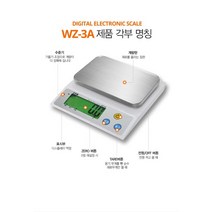 중앙농자재철강 카스저울 WZ-3A(0.1g~1000g) 미세저울 정밀저울 디지털저울 전자저울 CAS