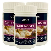 비타핏 (Vitafit) 갈릭 (마늘추출물) 6000mg 250 캡슐 X 3개, 750캡슐, 1세트