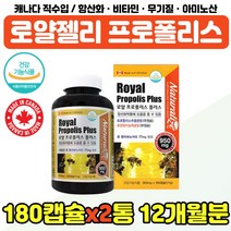 로얄프로폴리스 플러스 레시틴 항산화 활력 아미노산 환절기 건강 관리 온가족 엄마 아빠 직장인 회사원 여자 남자 친구 선물 프리미엄 로얄제리 농축 분말 PROPOLIS 비타민 무기질, 프로폴리스 6개월분 x2통