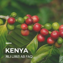 [생두] 케냐 니에리 AB FAQ 10kg