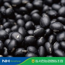 동서천농협 농협 국내산 서리태 500gX6팩, 단일옵션