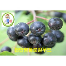 (달농 로컬푸드) 국내 최초 온라인 전문 로컬푸드 농부 재배 당일 발송 무공해 천연 아로니아 착한가격 생과 500g 분말100g(3병) 효소액 500ml (만족도100% ), 효소액(500ml)
