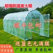 가정용 옥상 베란다 미니 비닐하우스 소형 온실 하우스 골조 발코니 정원 다육 꽃집 난방 야채 식물 보온 간이 버드와이, 14 폭 3m 폭 6m 길이 2m(필름