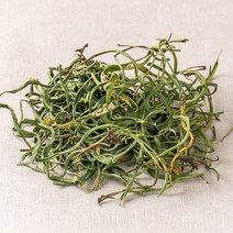 국산약초 자연산 일엽초 100g, 1A07_국산자연산 일엽초 100g