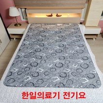한일의료기 1인용 2인용 전기요 전기장판 전기매트 캠핑용 해외용 여행용, 옵션1