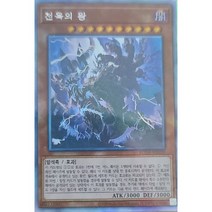 천옥의왕 (BODE-KR030) Holographic Rare 홀로그래픽 레어 한글판 유희왕