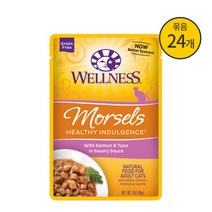 웰니스 헬시 인덜전스 머셀 연어와 참치 85g x 24개입, 단품
