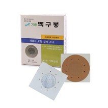 기황 백구봉 10개입 압봉 압침 이침 지압침 침