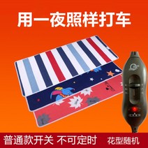 12V 전기장판 DC 캠핑 전기매트 차박 캠핑 카라반 2인용 시가잭, C + 150x50cm