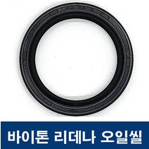 에스케이종합상사 바이톤 리데나 50-72-11 (50X72X11) 오일씰 TC