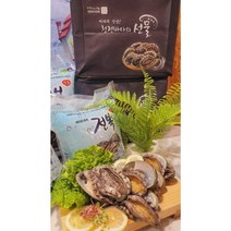 완도전복 11미~12미 1kg 더드림전복 선물포장 전복솔증정 노화 보길도 산지직송 산소포장 선물용