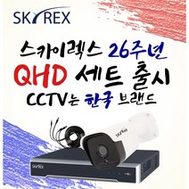 스카이렉스 QHD 초고화질 하이브리드 매장&가정용CCTV 케이블20M 풀세트 실내외겸용, 고급형 실외2개(전용 케이블 20M+아답터)