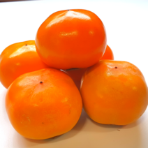 초달달촉촉 청도 반시 씨없는 홍시 가성비 좋은 가정용 판매중, 1박스, 5kg(청도반시/45과 내)