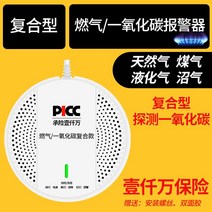 소형 음성 모텔 카라반 co 센서 화재 차박 사무실 일산화탄소 경보기 감지기, J타입:복합형[일산화탄소]