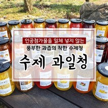 무색소 무첨가 100% 수제청 과일청 자몽청 500g, 19번 자몽청, 1개