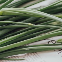 [캔들이케아] 국내산 프래그런스 100ml 오일 97종, 06_레몬그라스