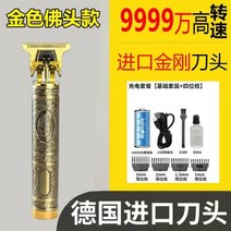 전기 푸시 클리퍼 헤어 클리퍼 가정 이발기, 금[99999회전]독일수입칼머리