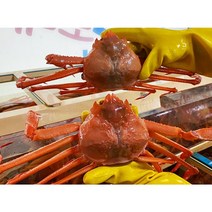 연지 홍게 대게 제철 포항 3kg 구룡포 홍게 주문 택배 산지직송, 일반용 B급 = 수율 70%내외