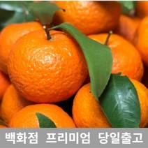 [특등급선별] 레드향 5kg 제주레드향 천혜향 한라봉 제주천혜향 겨울과일 한라봉선물세트 라향 레드향천혜향 레드향선물세트 제주카라향 제주한라봉 제주도천혜향 제주도한라봉 황금향 설