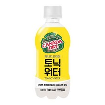 코카콜라 캐나다드라이 300ml 48페트, 48개
