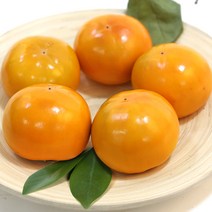 아삭아삭 가을 제철과일 창원단감 3kg 2L사이즈