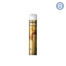 로레알 에르네뜨 헤어 스프레이 500ml 샤땡 스트롱홀드 강력스프레이